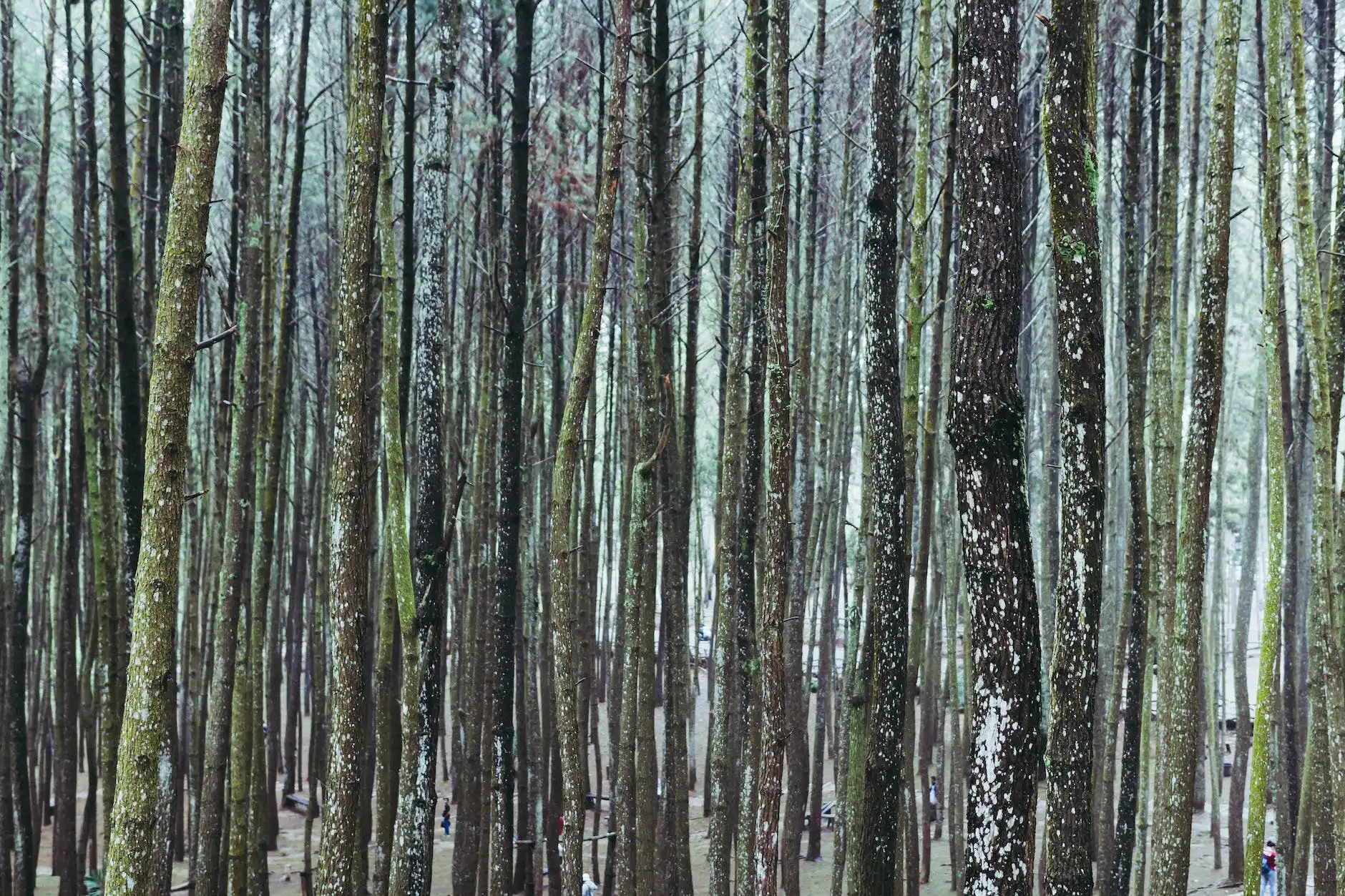 gambar-Kecerdasan Buatan: Masa Depan atau Ancaman?